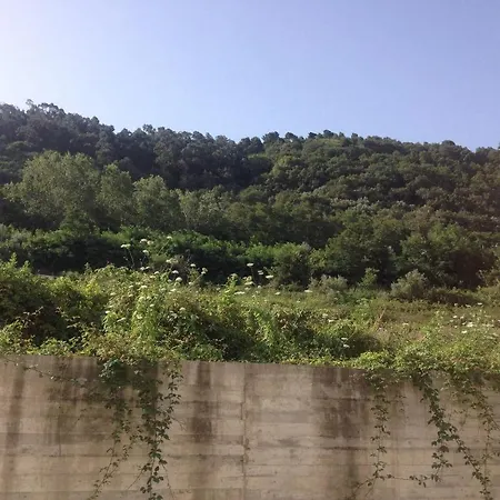 Lux Apartment ! Swimmingpool ! Parking ! Separate Entrance ! Separate Territory ! * Pizzo (Calabria)